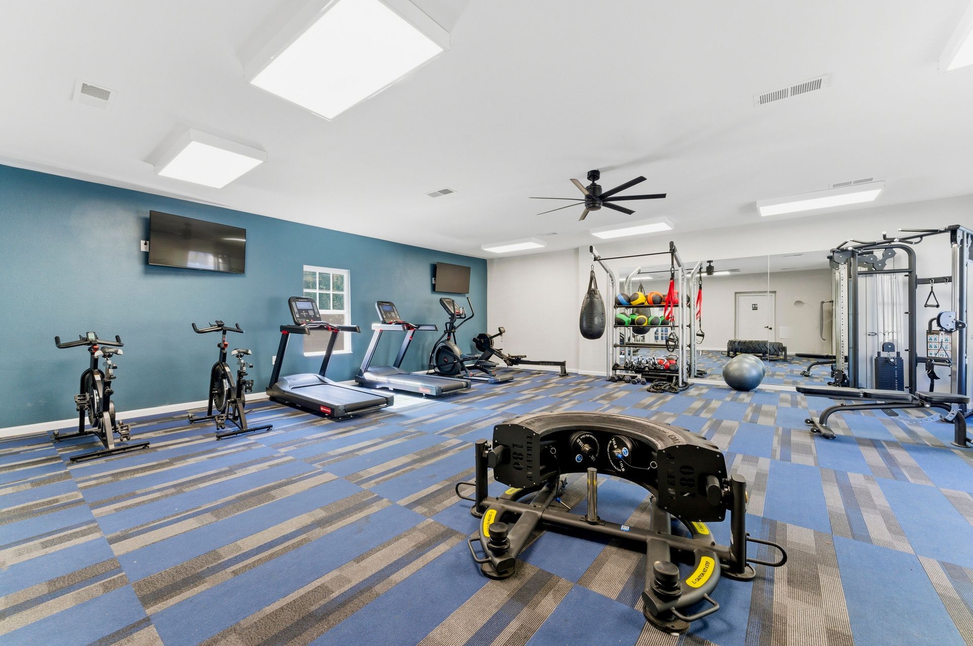 Bright blue gym with treadmills, exercise bikes, weight machines, and a ceiling fan on striped carpet.