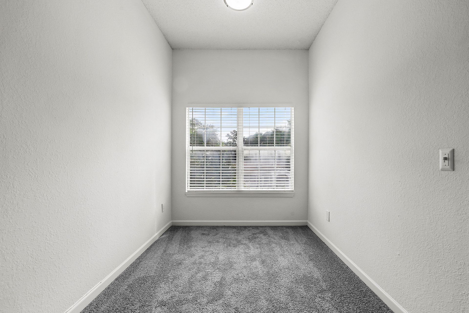 Empty white room with gray carpet and a window letting in daylight.