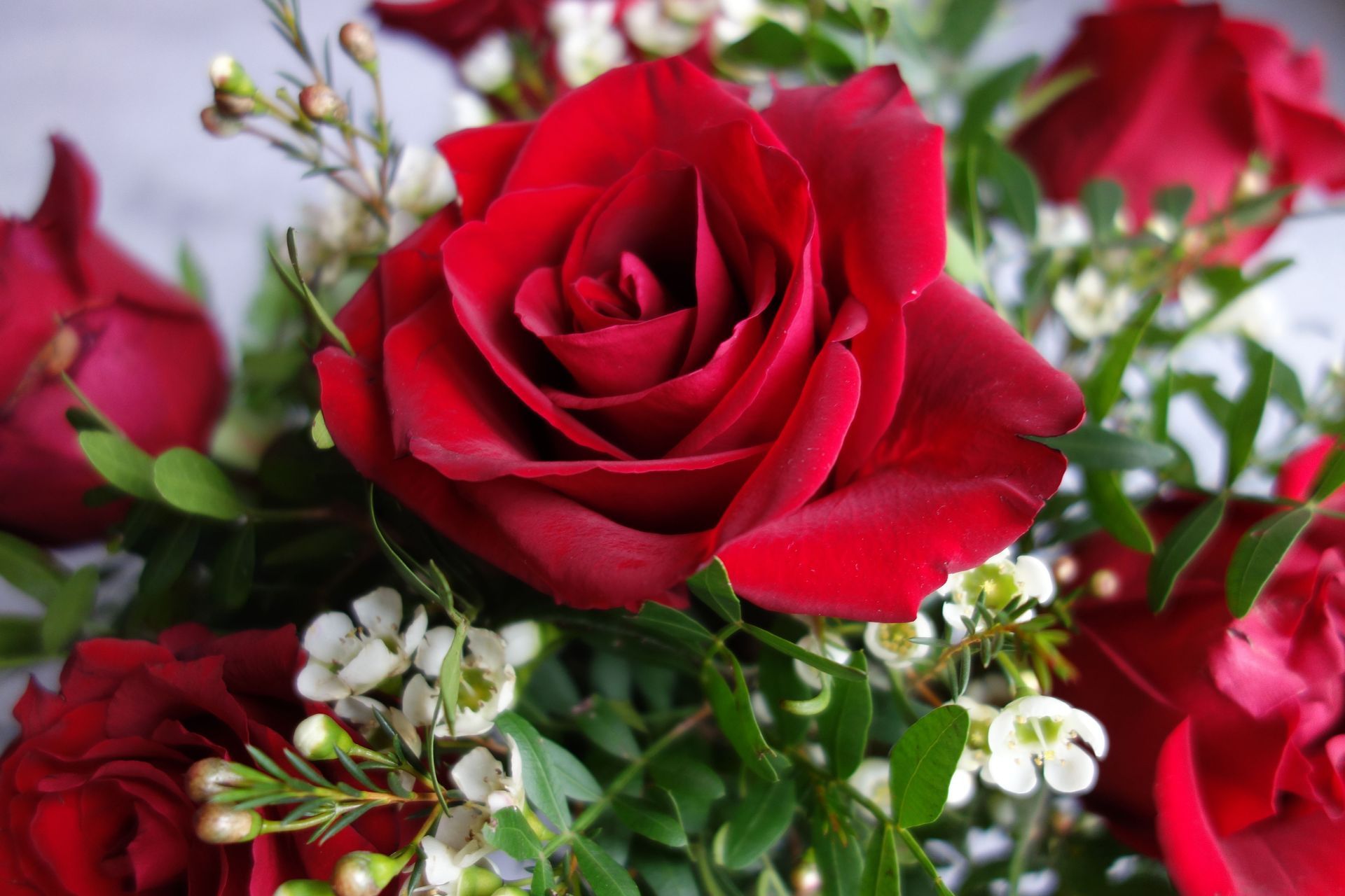 Red rose bouquet with white flowers and green foliage