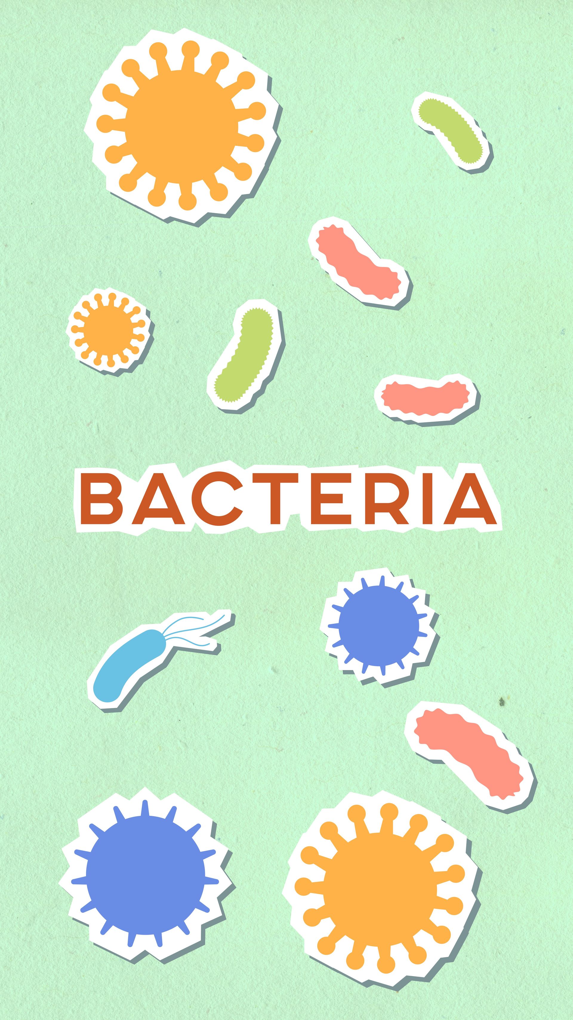 Colorful bacteria illustration with orange, blue, green, and pink cartoon microbes on a mint background, labeled “BACTERIA”
