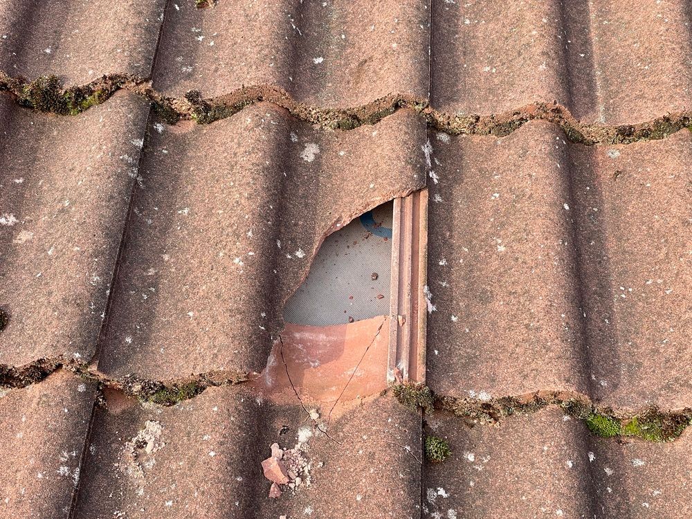 Roof Repairs