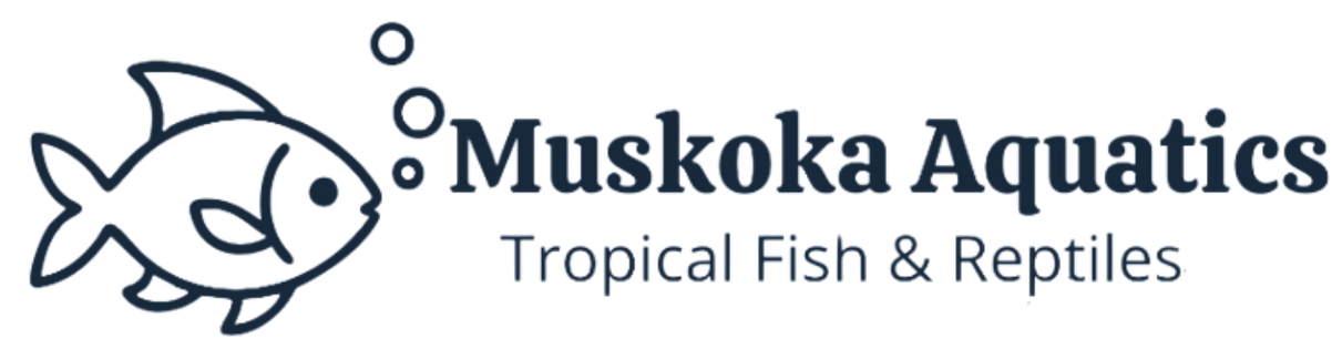 Muskoka Aquatics Logo