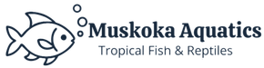 Muskoka Aquatics Logo