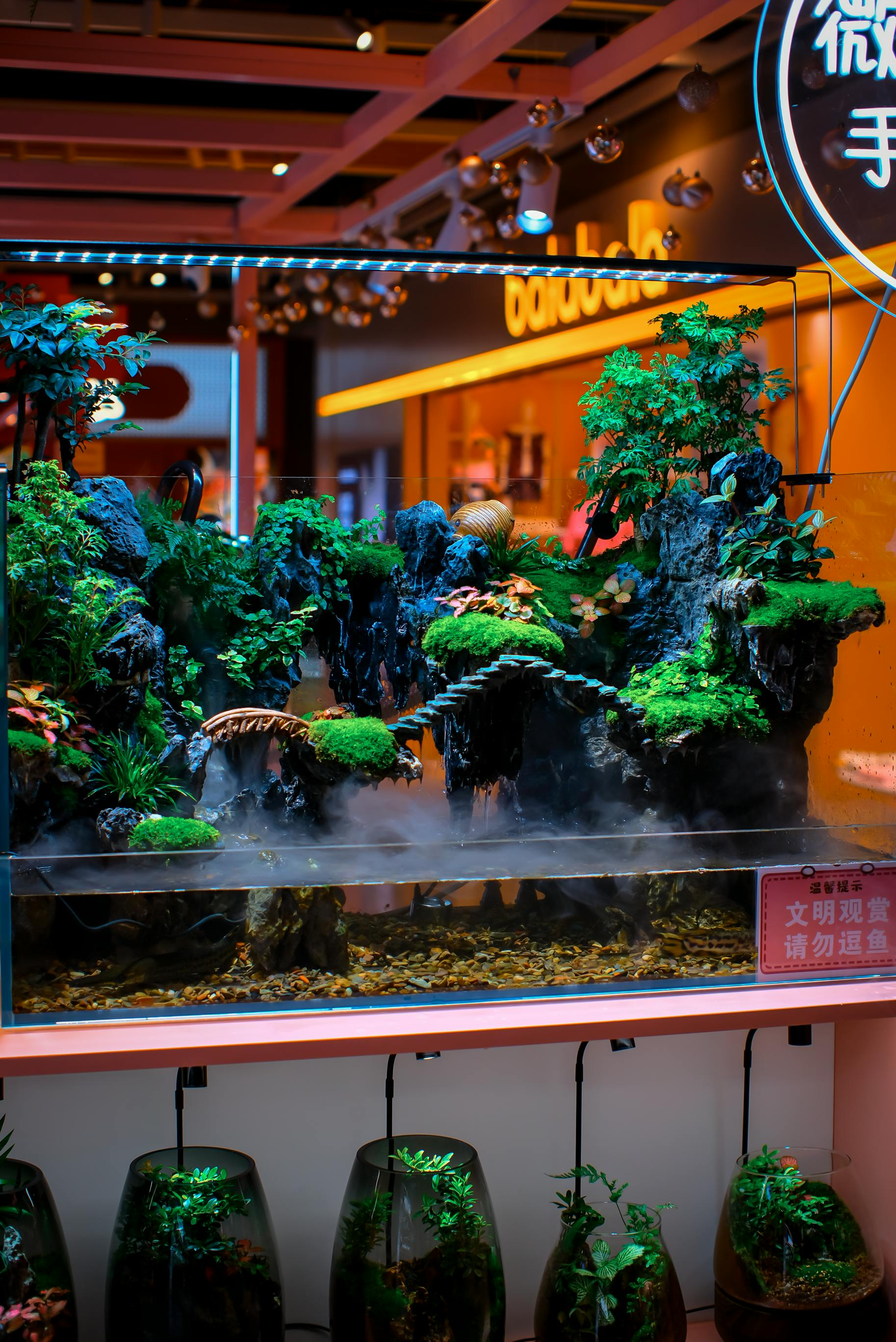Indoor bonsai-style display with lush green plants, mist, warm orange lighting, and hanging lanterns