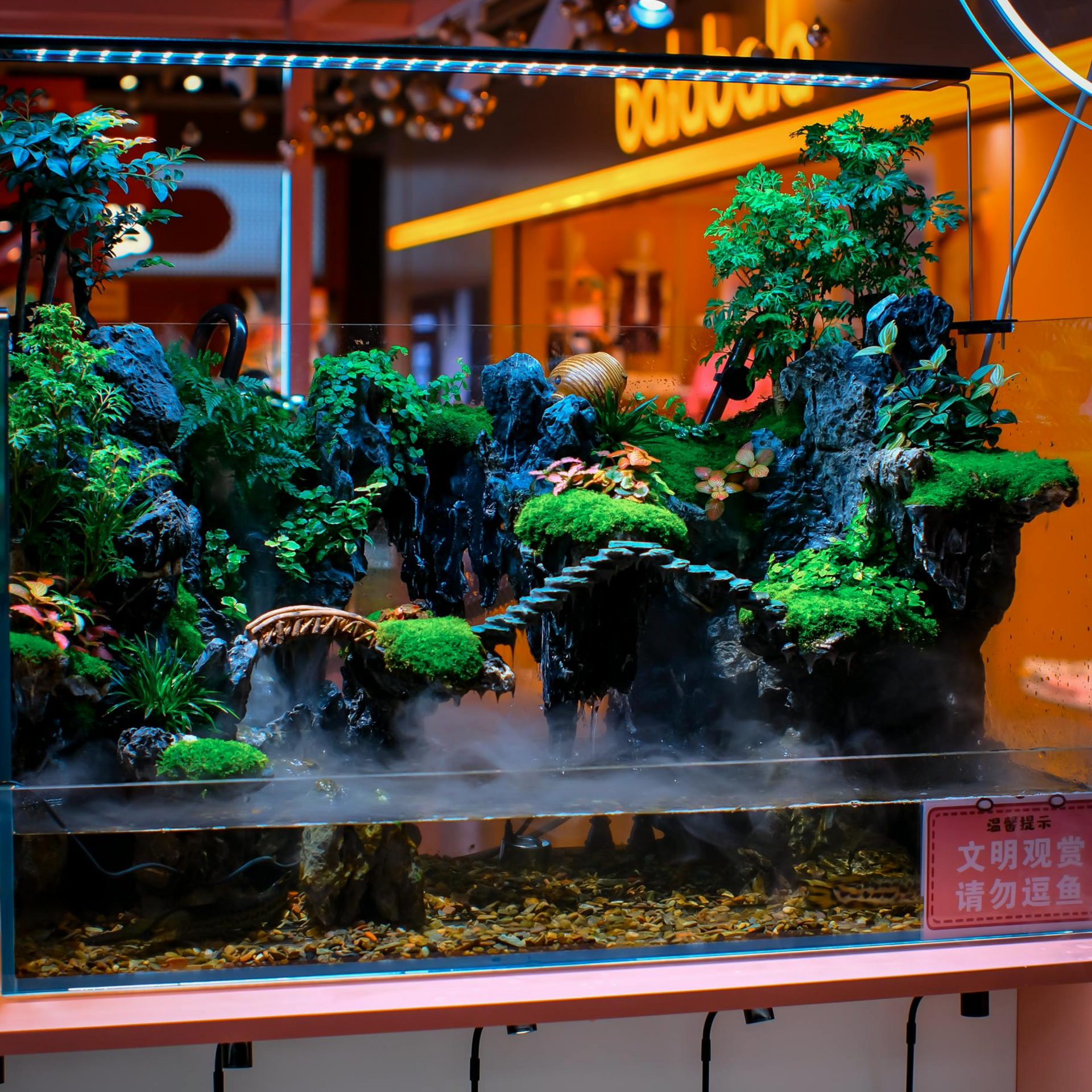 Miniature lush forest terrarium with mist, water, and bright lights on a display table