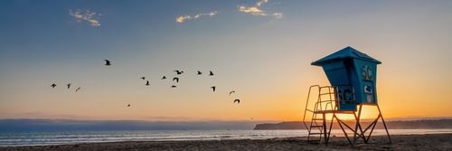 Birds fly over a beach at sunset with a blue lifeguard tower.
