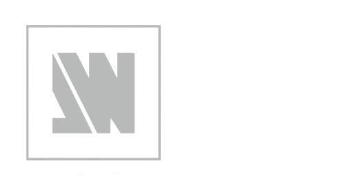 disguise logo