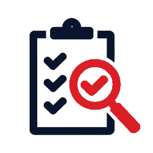 inspection icon 