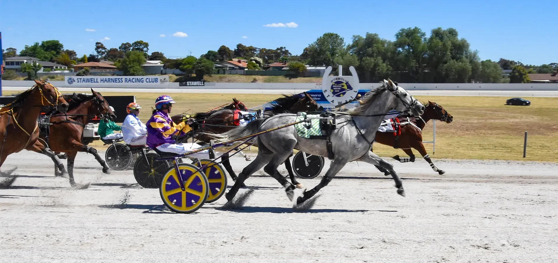 Pacing Cup Action