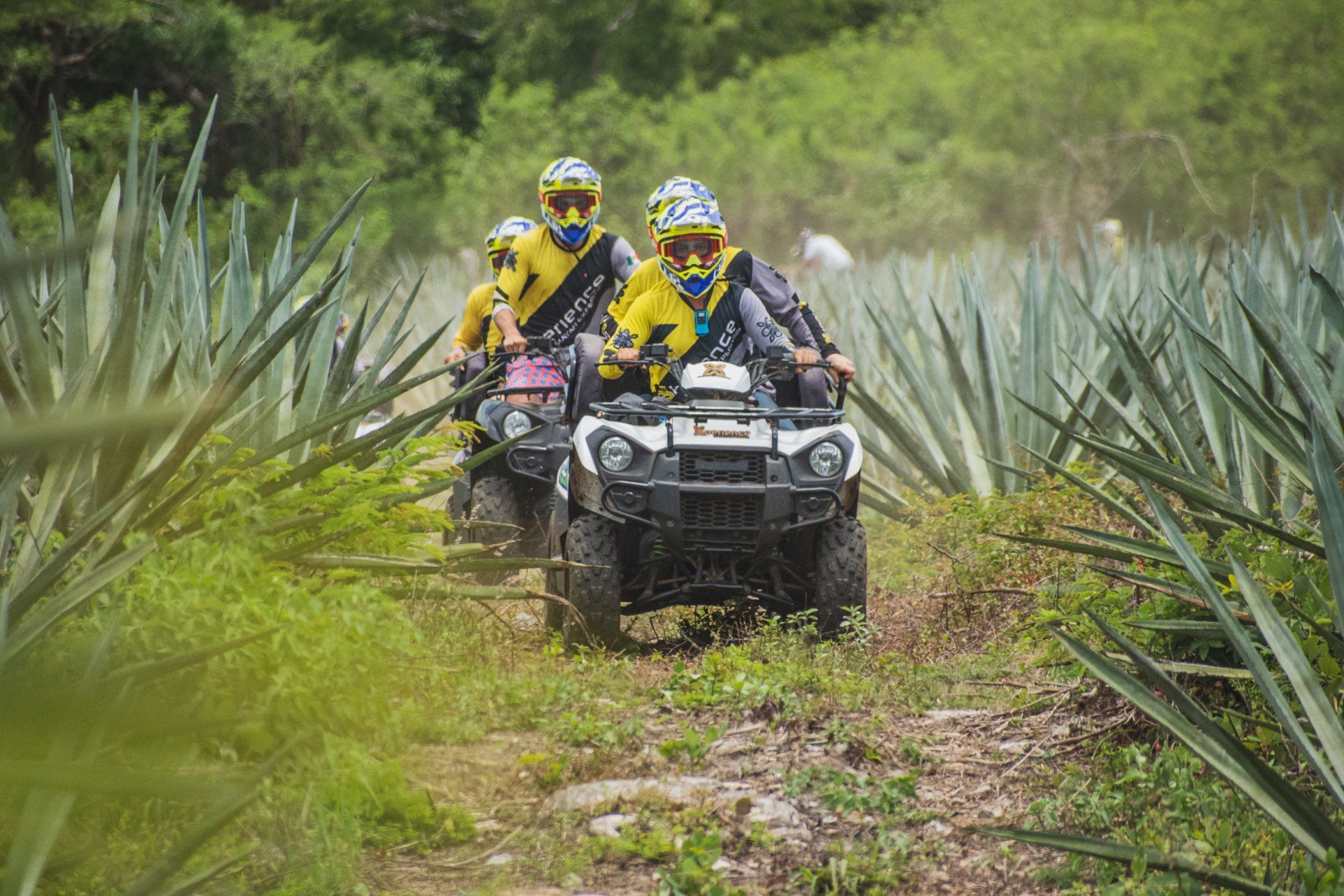 deportes extremos mérida