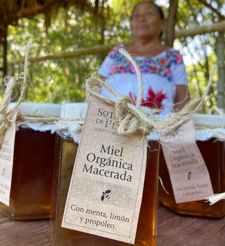 haciendas henequeneras yucatán