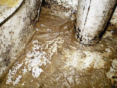 Dirty basement floor with standing water and white, mold-like substance; two pipes visible.