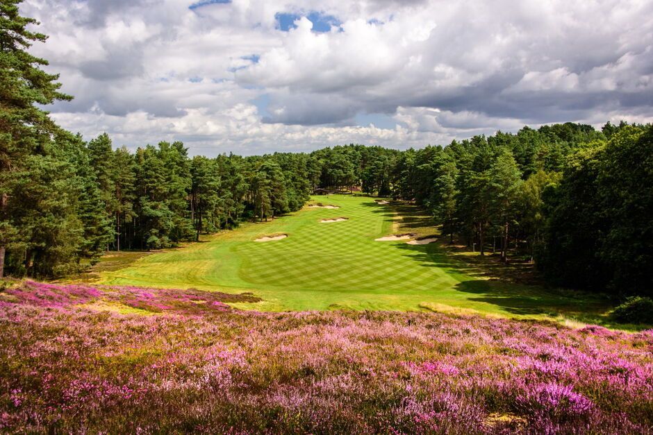 A green golf fairway lined by trees with pink wildflowers in the foreground under a cloudy sky