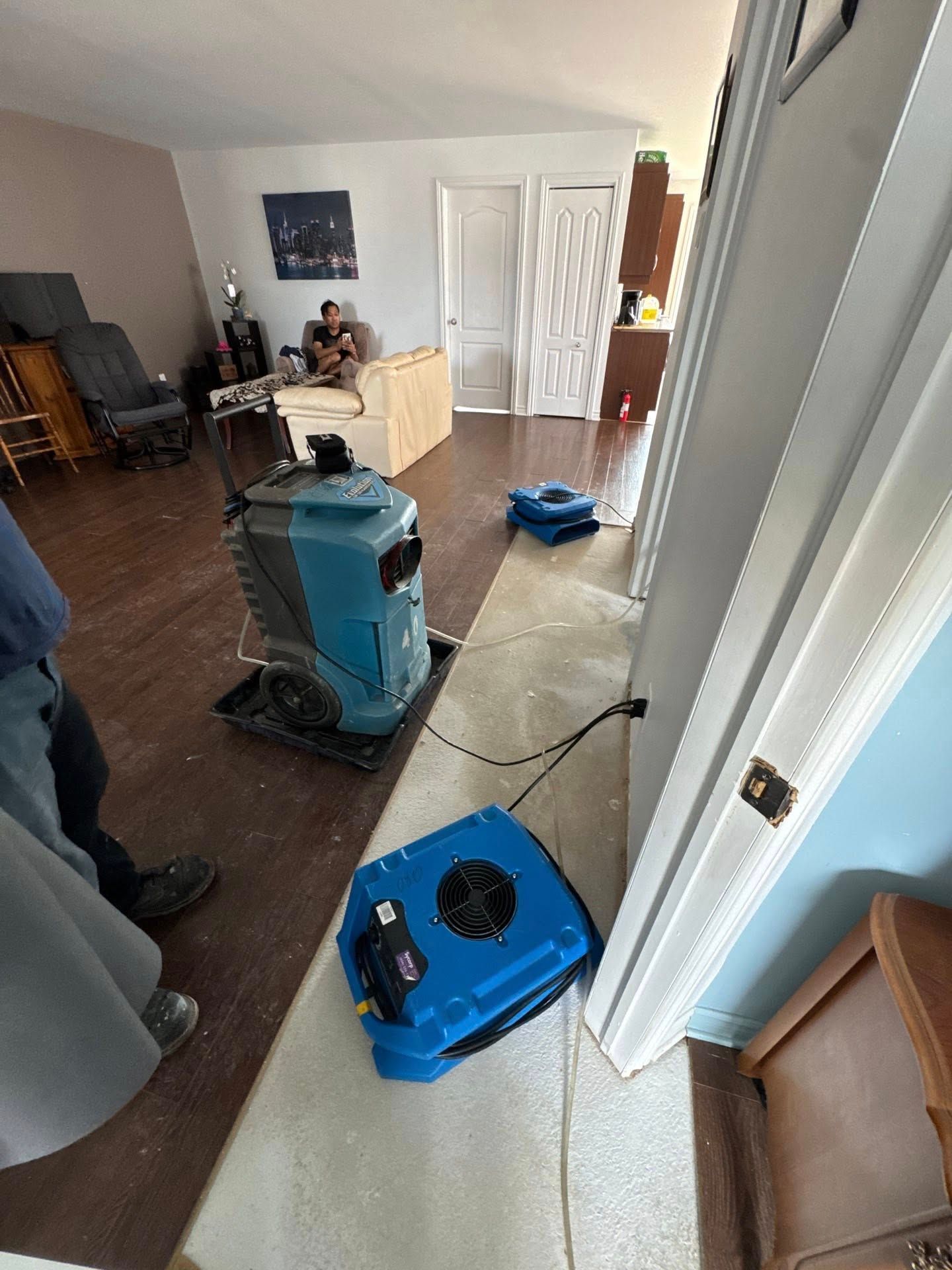 Matériel de restauration après dégâts d'eau dans une pièce avec moquette claire et parquet.