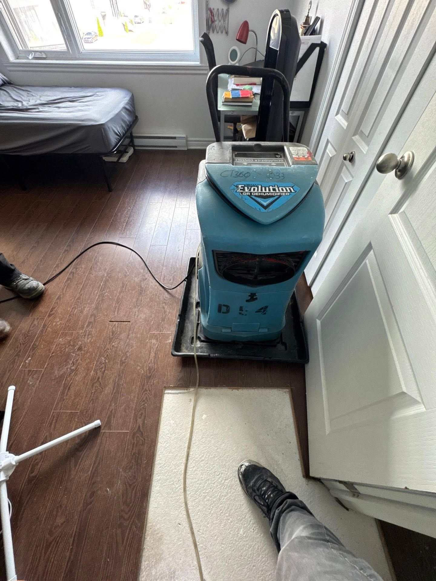 Machine de nettoyage de tapis bleue sur sol marron, porte et lit en arrière-plan.