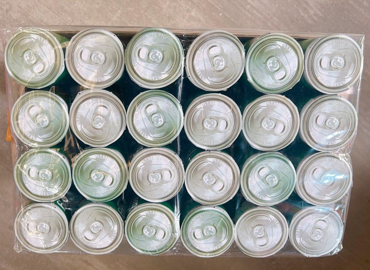 CARLSBEEG 啤酒 (24罐装)