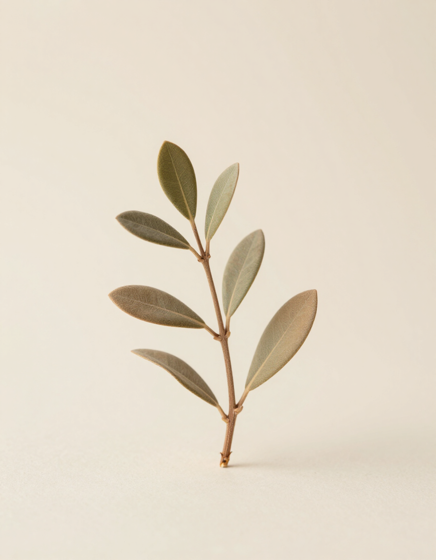 Decorative botanical accent