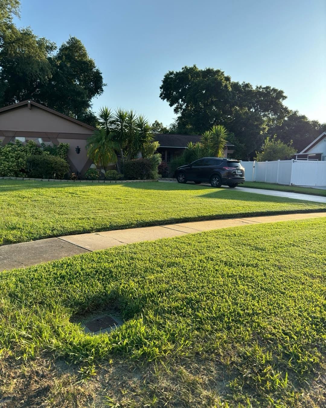 Suburban front yard with green lawn, sidewalk, trees, and a parked dark SUV by a white fence