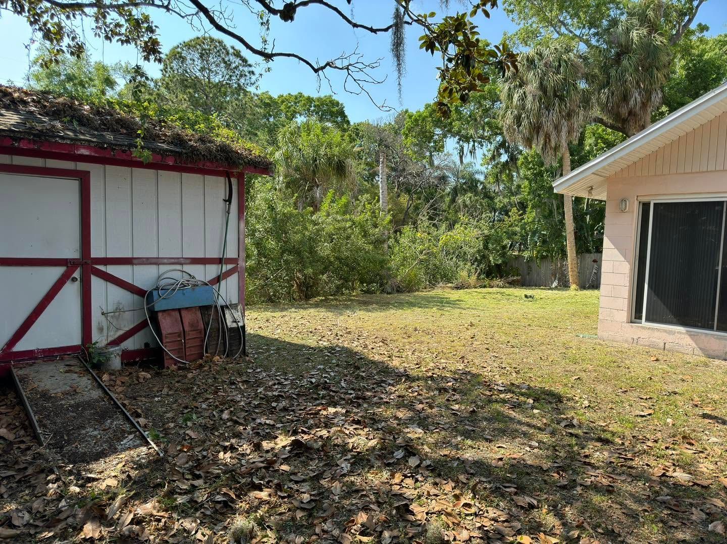 Backyard between a red shed and a tan garage, with grass, trees, and leaf-covered ground.