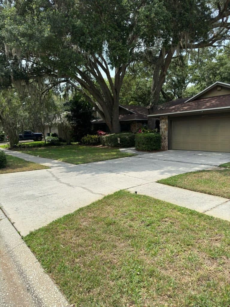 Suburban house with large tree, driveway, and front lawn on a quiet street