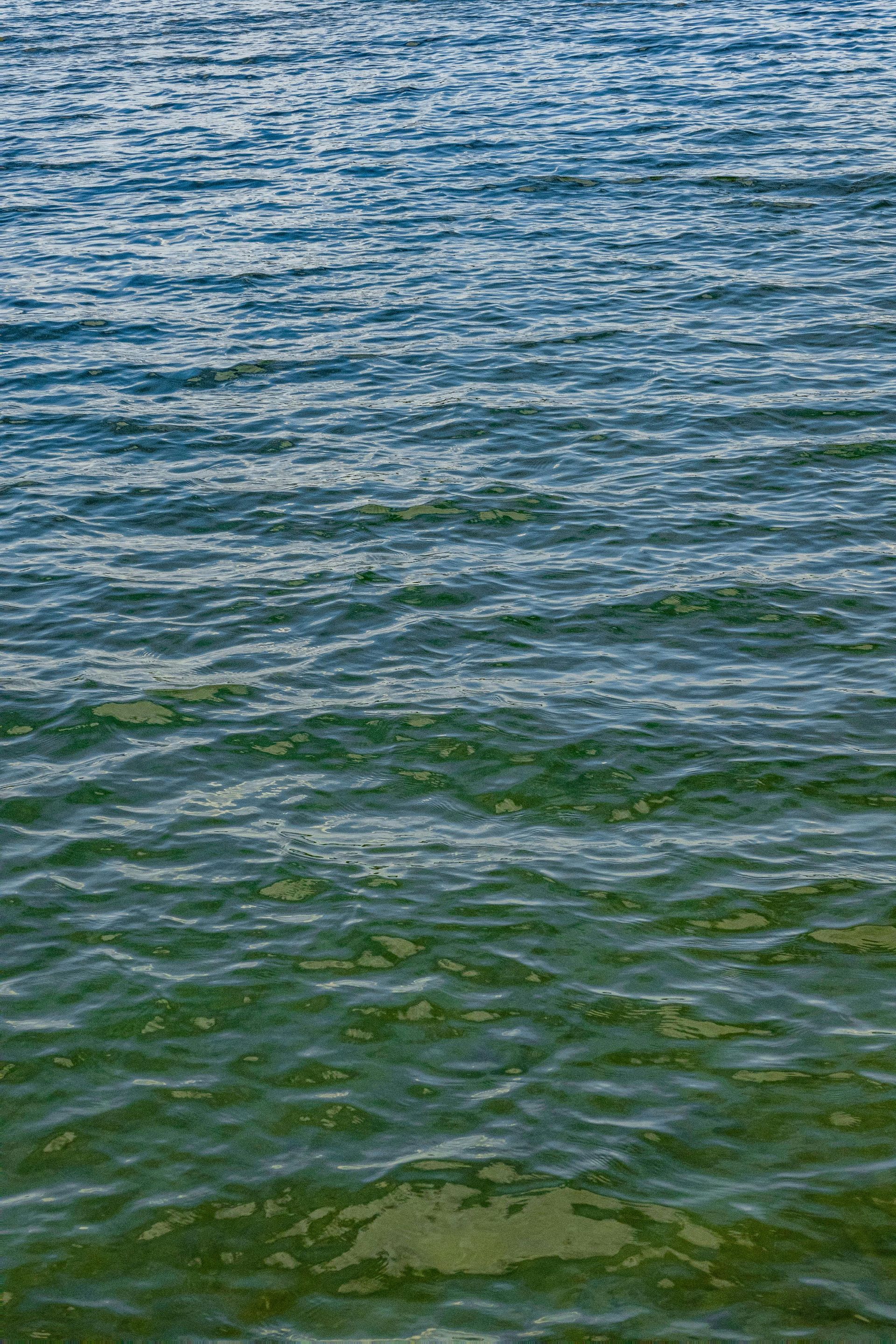 Water from a flood