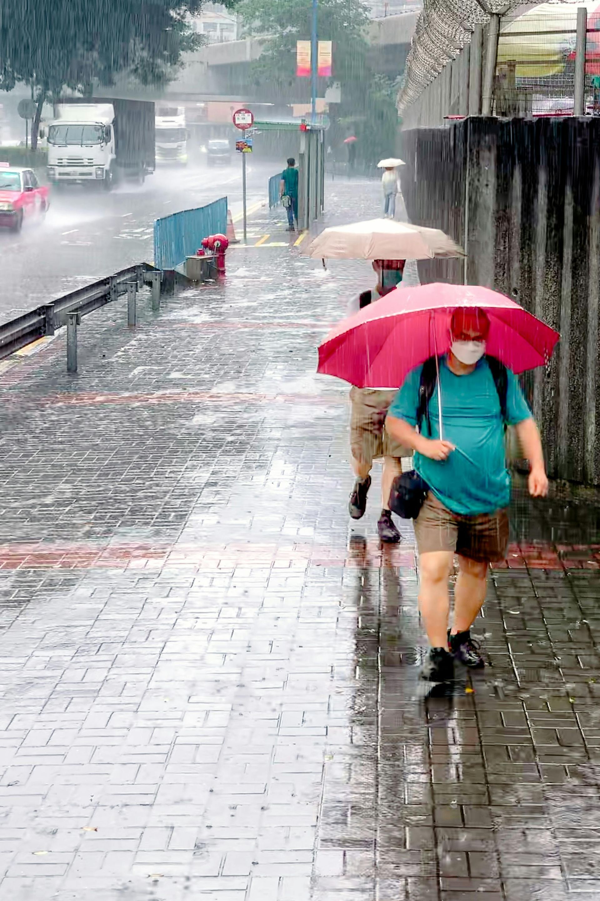 People under umbrellas