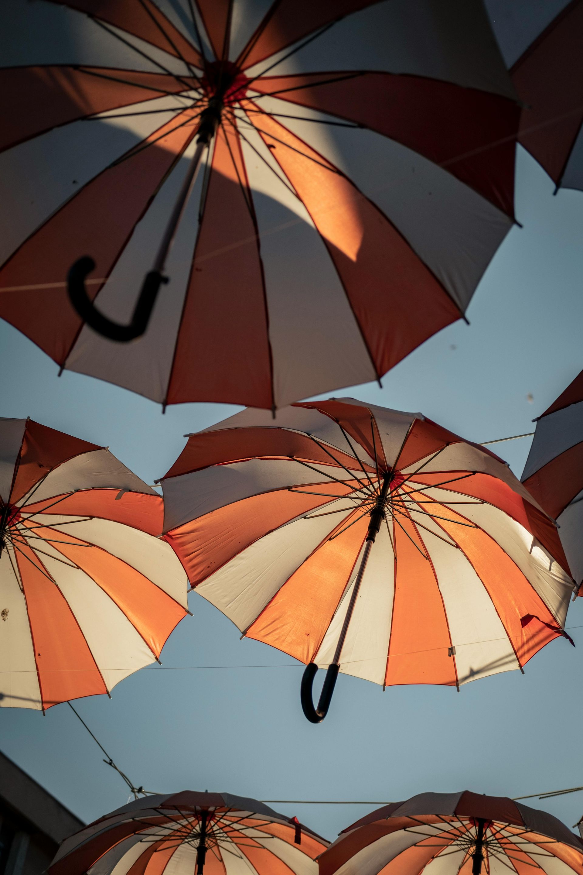 Colorful umbrellas