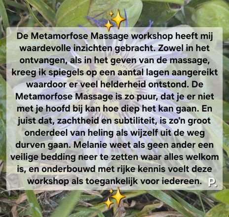 Tekst op een groene achtergrond: Een recensie van een workshop 