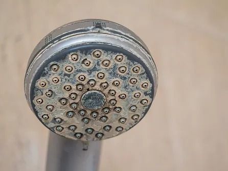 A close up of a dirty shower head in a bathroom.