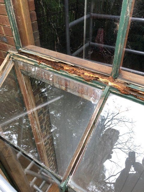 new form windows