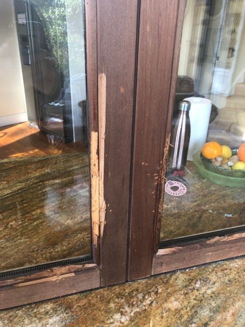 new form windows Before