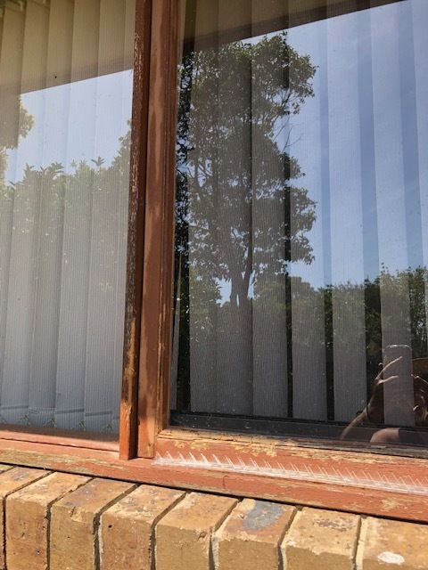 new form windows