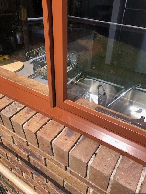 Cockatoo Damage 1