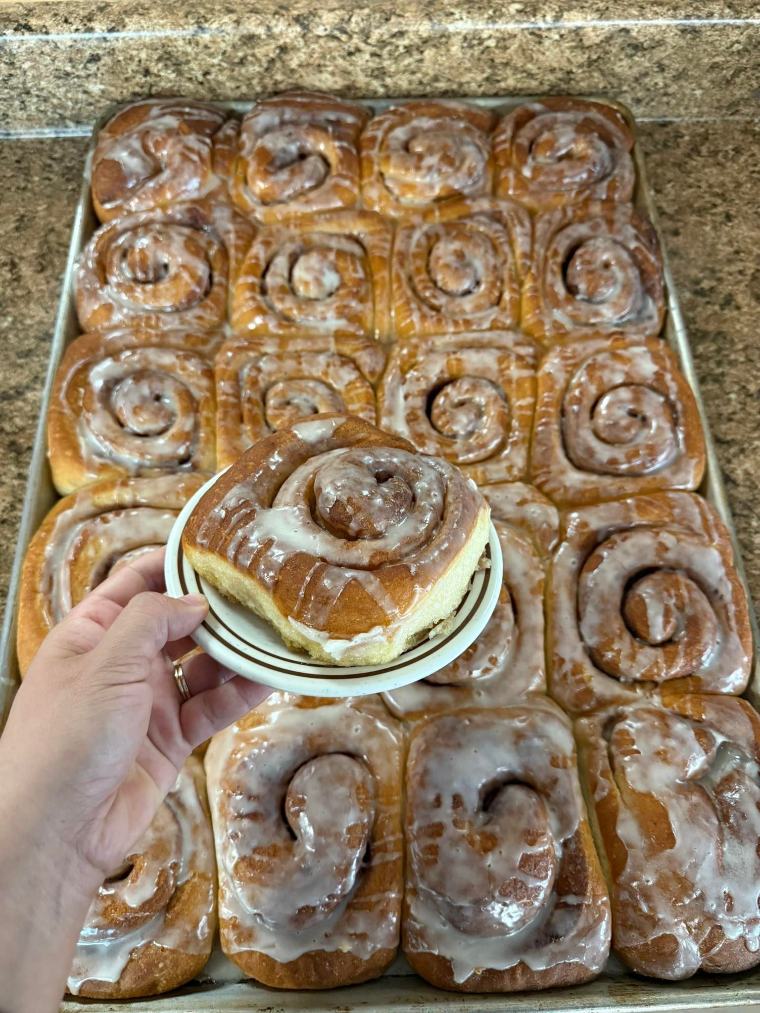 A hand holds a single glazed cinnamon roll on a small plate over a tray filled with freshly baked cinnamon rolls.