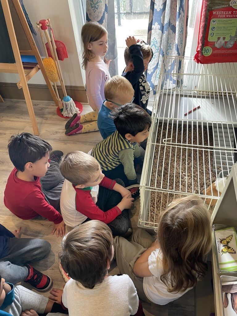Children gathered around a caged pet in a classroom, watching it closely through the bars.