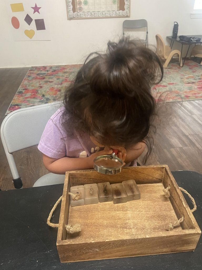Child leaning over a wooden sensory bin, examining objects at a table in a classroom.