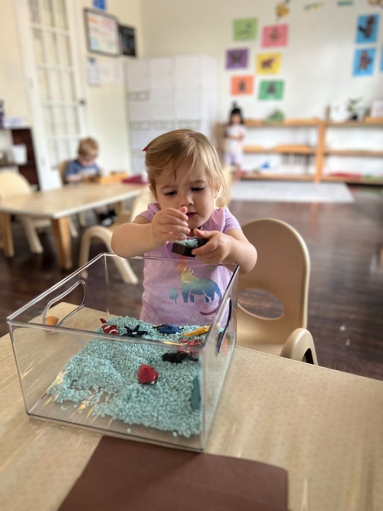 Child in a classroom uses a clear sensory box filled with beads and red pom-poms.