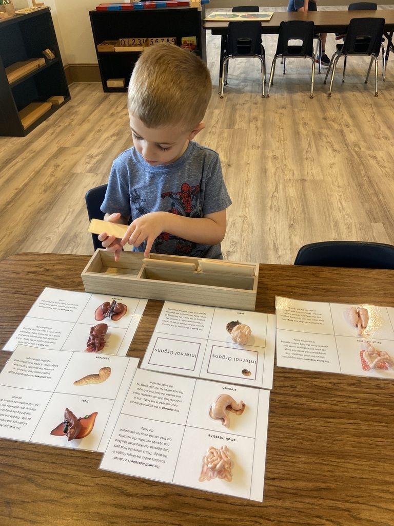 Child using a magnifying tool at a classroom table with learning worksheets and animal pictures.