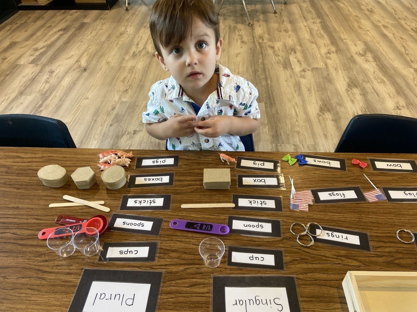 Child seated at a table with labeled classroom objects arranged in rows for a sorting activity