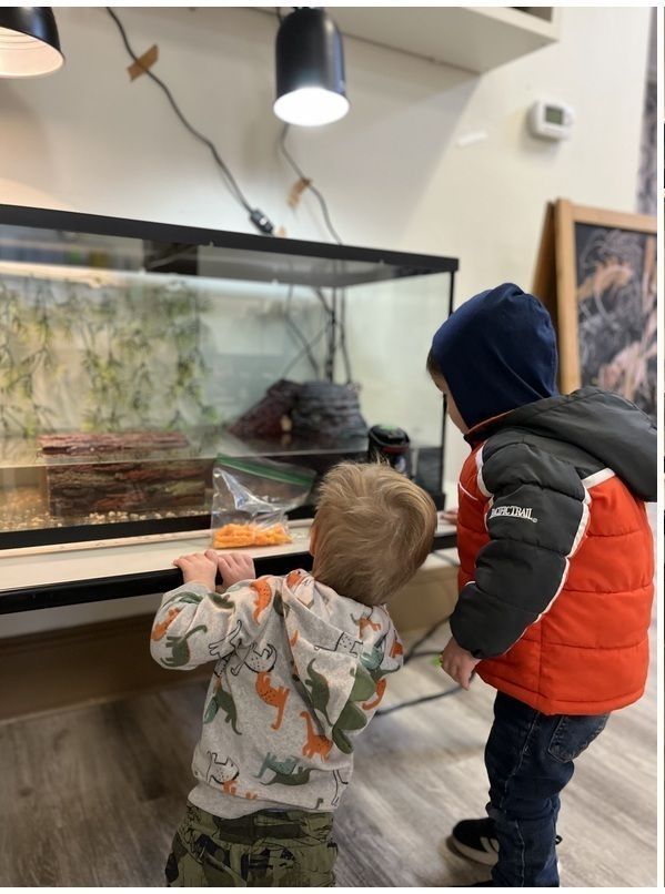 Two children peer into a glass aquarium at a zoo or museum exhibit.