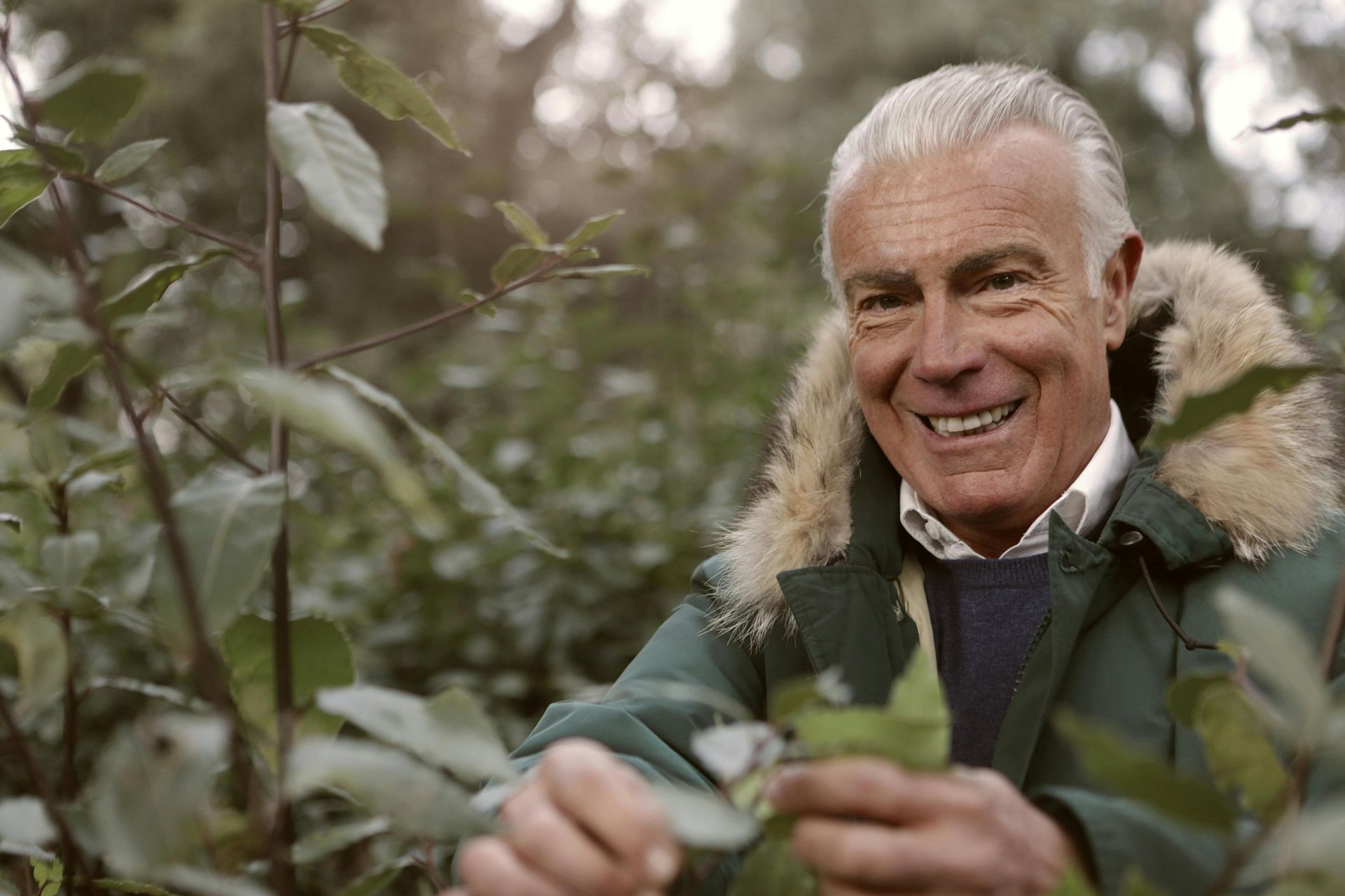 Un homme portant une veste verte cueille des feuilles d'un arbre.