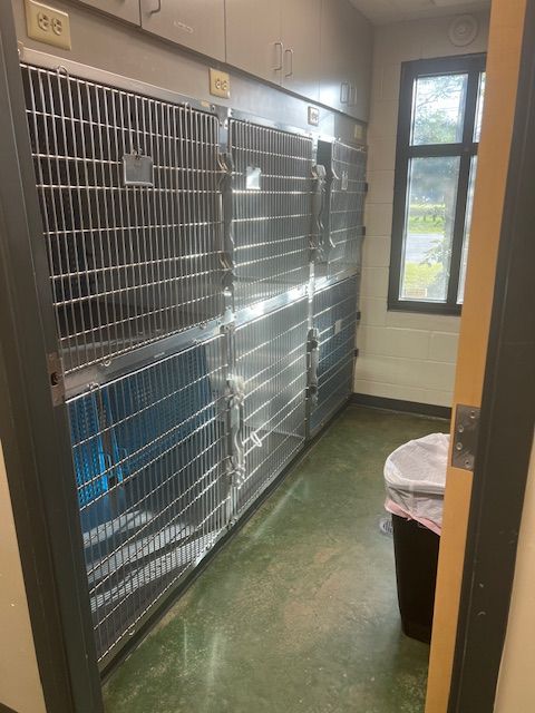 Our kitty condos