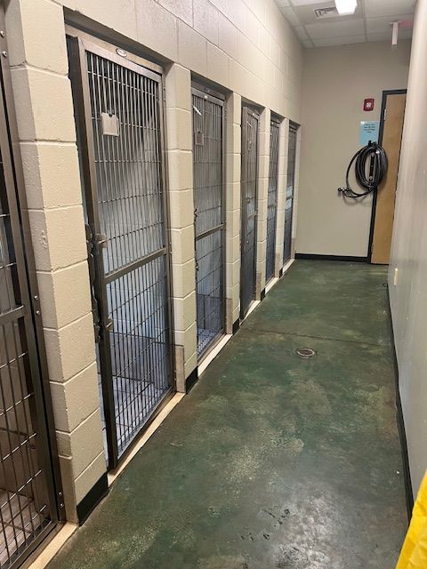 Our kennels