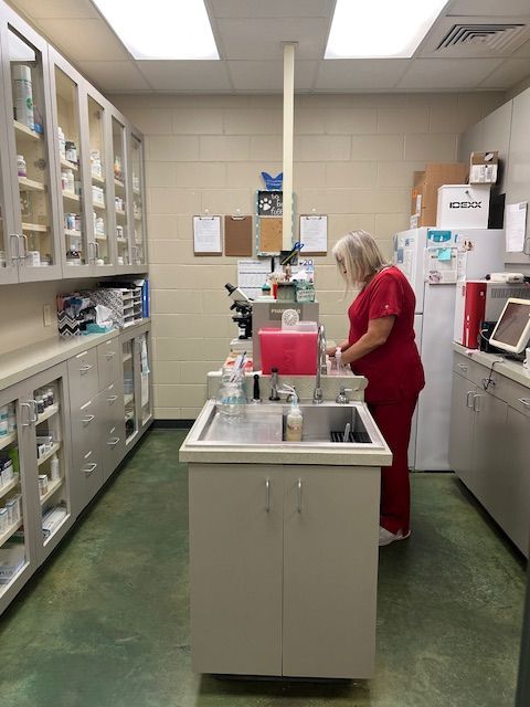 Our lab area