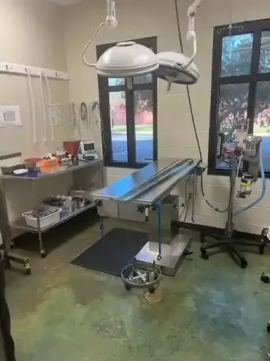 Surgery