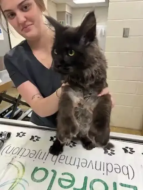Routine Check-ups