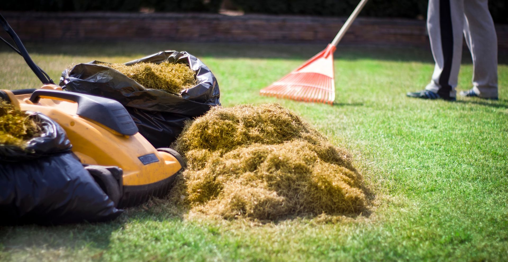 A person rakes cut grass on a lawn with a pile of clippings, lawnmower, and filled bags.