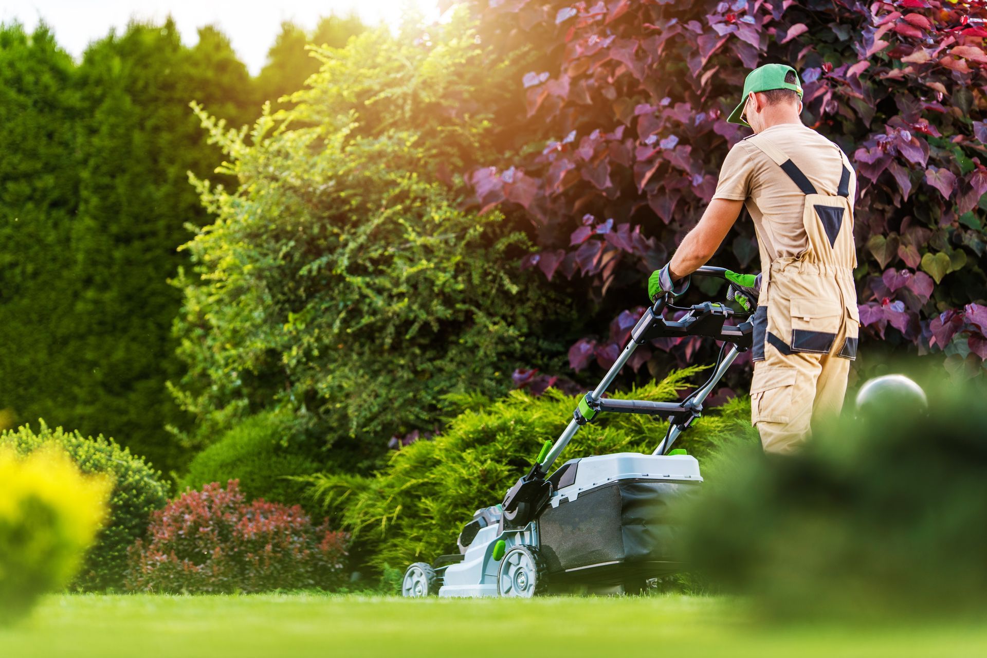 Man mowing a green lawn with a mower in a garden, bright sunlight.
