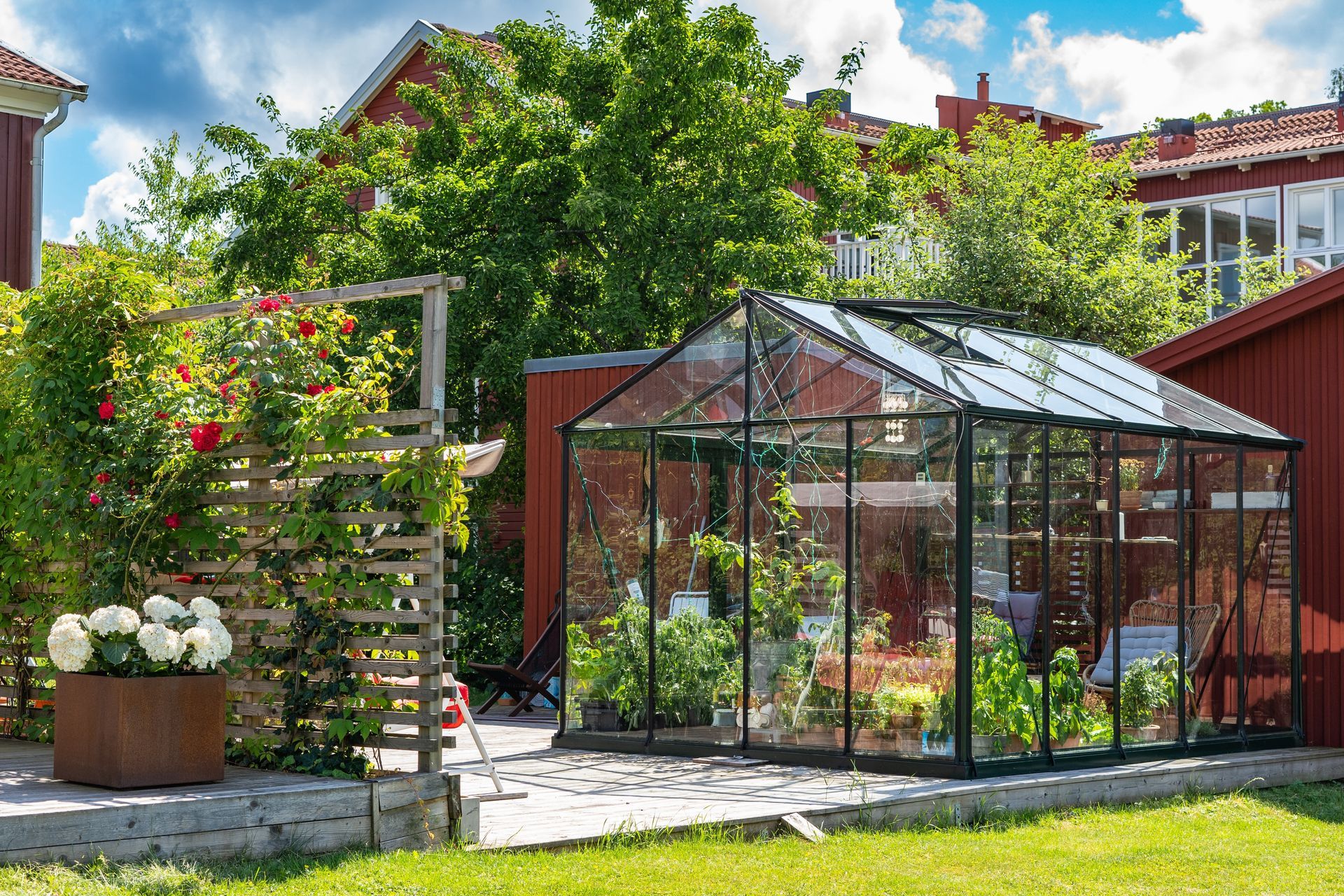Greenhouse in a garden with plants