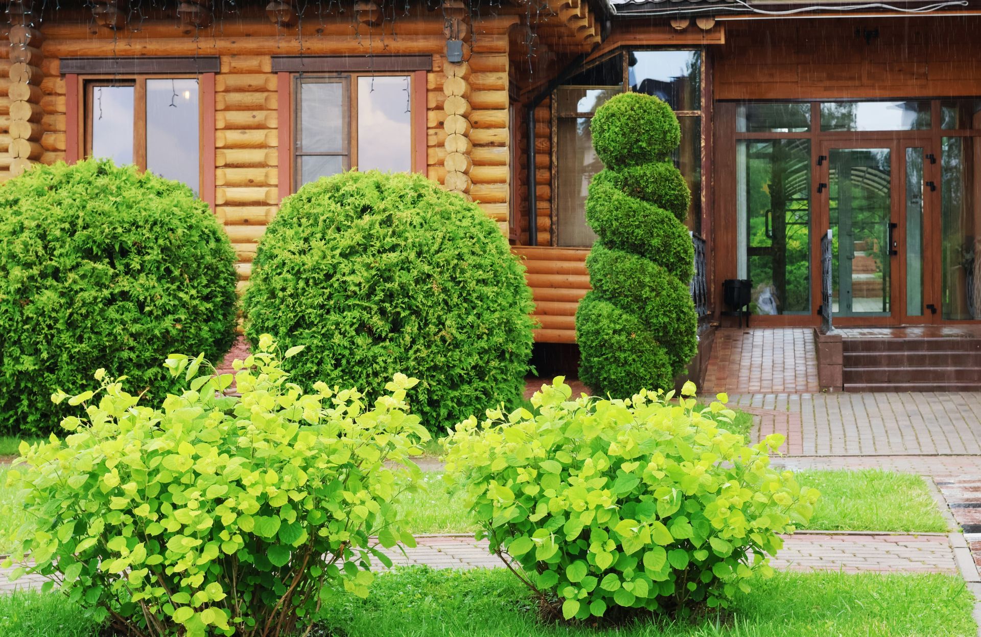 A wooden house with manicured green shrubs and a spiraled topiary in a garden setting